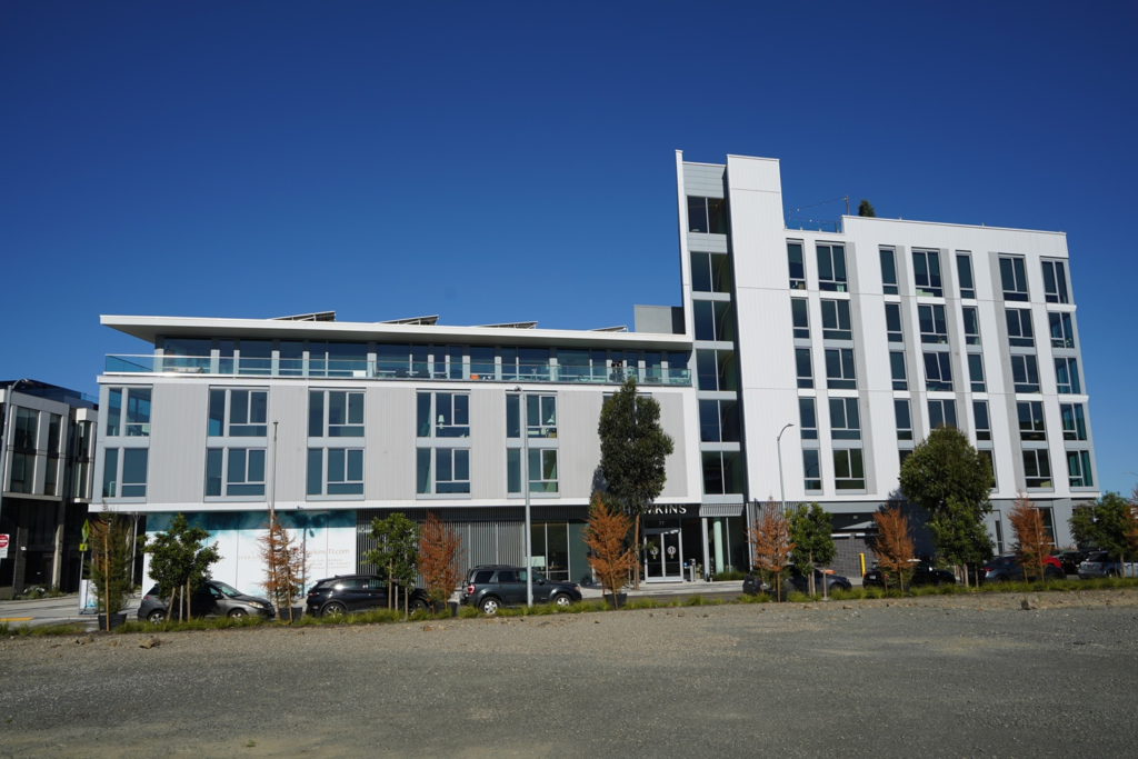 Treasure Island Housing